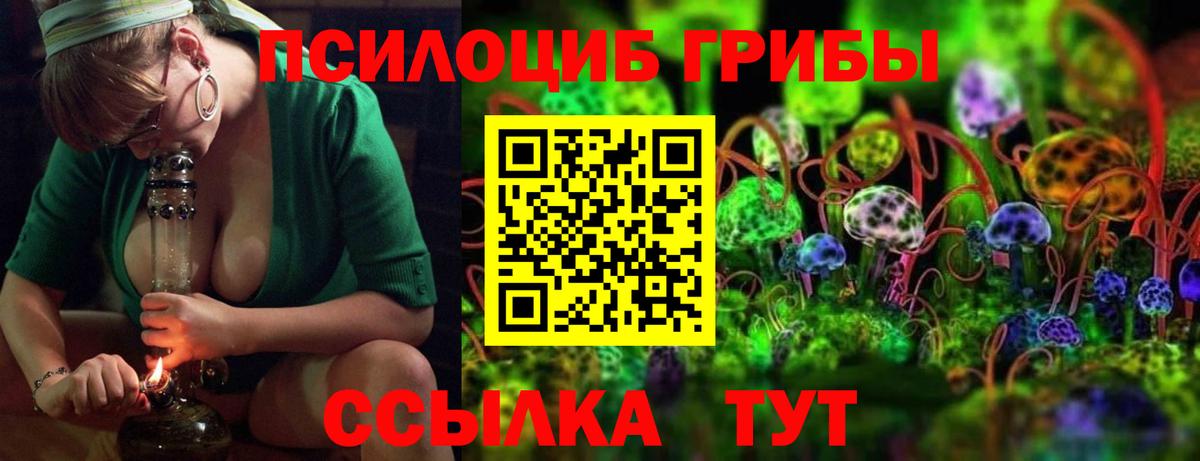 купить наркоту  Галлюциногенные грибы Psilocybe  Воткинск  Вход с VPN  Галлюциногенные грибы прущие грибы 