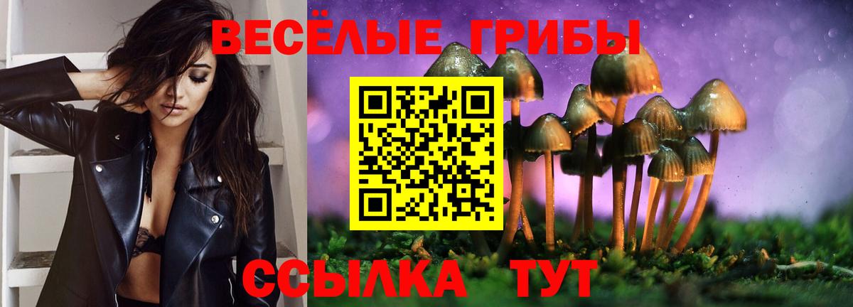 Галлюциногенные грибы Psilocybine cubensis Воткинск